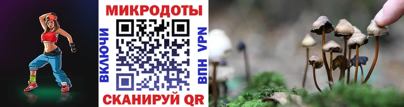 наркошоп  Карасук  Псилоцибиновые грибы GOLDEN TEACHER 